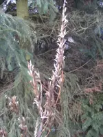 BILD8737.JPG