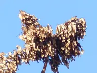 image002.webp