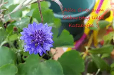 20171012_132646.2.(1).webp