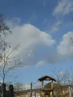 P1130251.webp