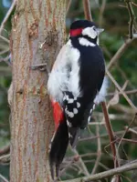 P1020160.webp
