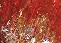 2018red01.webp