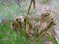 P1020240.webp