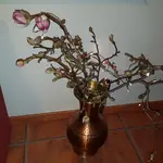 20180105_163653.webp