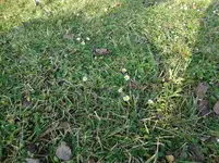 DSC02543.webp