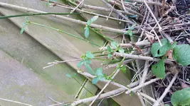 20180107_105826.webp