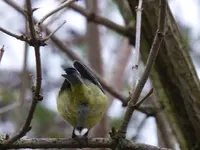 P1020316.webp