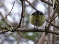 P1020317.webp