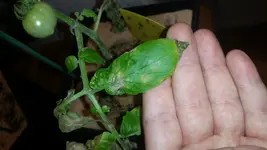 20180102_163042.webp