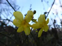 P1020204.webp