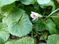 P1020216.webp