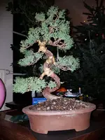 20171224_184951.webp
