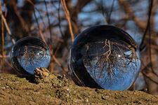 Bäume_Natur_grosse_kleine_Kugel_900.webp