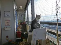c043.webp