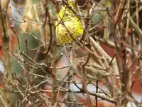 Suchbild.webp