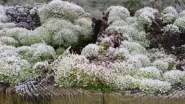 20180109_114349.webp 20180109_114349.webp