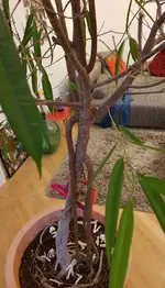 20180110_130709.webp