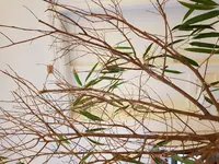 20180110_130627.webp