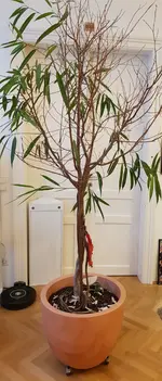 20180110_130618.webp