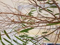20180110_130559.webp