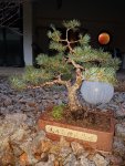 20180110_163731.jpg