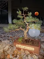 20180110_163731.webp