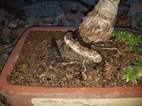 20180110_163706.webp