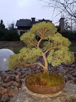 20180110_163758.webp