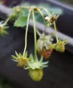 2018Jan03.webp