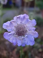 2018Jan02.webp