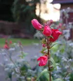 2018Jan01.webp