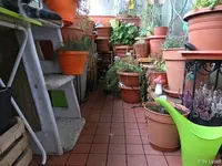 c053.webp