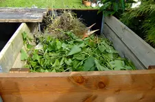 DSCF1783.webp
