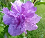 image001.jpg