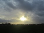IMG_0866.jpg