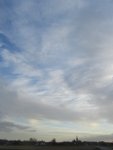 IMG_0865.jpg