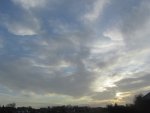 IMG_0860.jpg