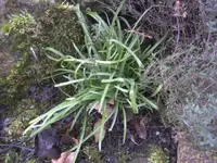 BILD8766.webp