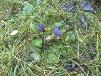 BILD8770.webp
