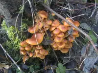 BILD8769.webp