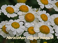IMG_3871.webp