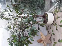 20180114_105758.jpg