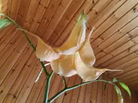 20180114_145825.webp