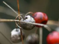 image001.webp