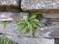 P1080569.webp