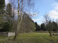P1080559.webp