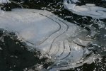 Winter8909a.jpg