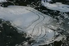 Winter8909a.webp