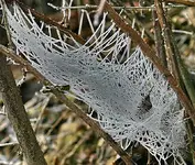 IMG_1882b-2.webp IMG_1882b-2.webp