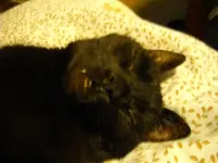 IMGP5685.webp